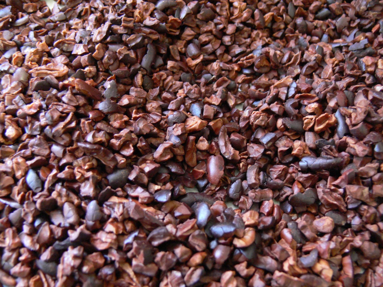 whatsapp 00 84 979 171 029 Cacao nibs from Viet nam